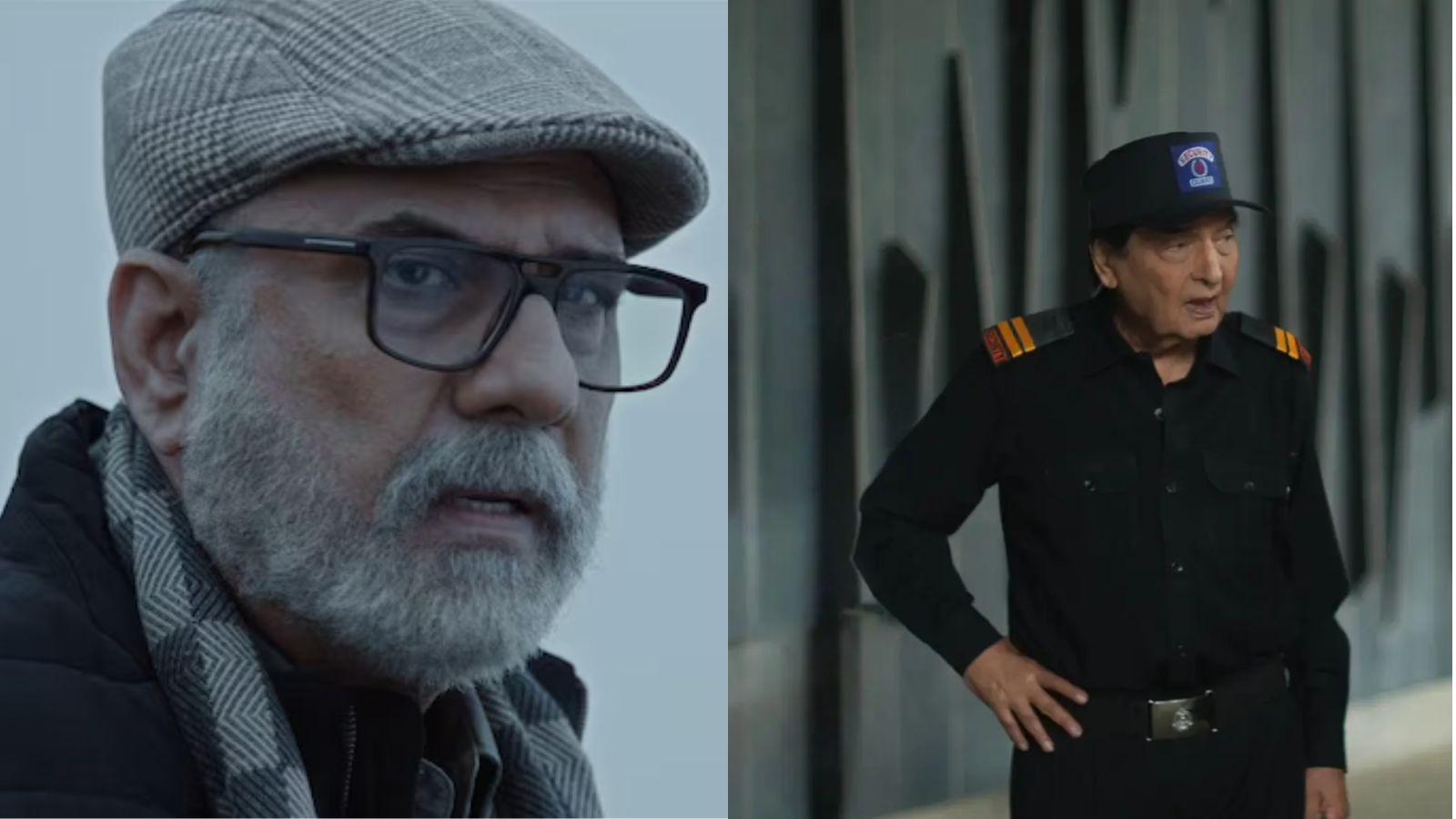 Bollywood, Haiwaan, Bollywood Thriller, Movie Reviews, Akshay Kumar, Saif Ali Khan, Boman Irani, Critics, Priyadarshan