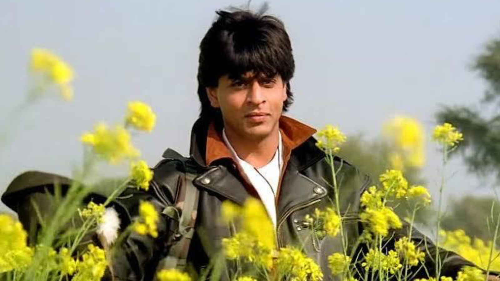 Bollywood, Shah Rukh Khan, King Khan, Fun Facts, SRK, Badshah of Bollywood