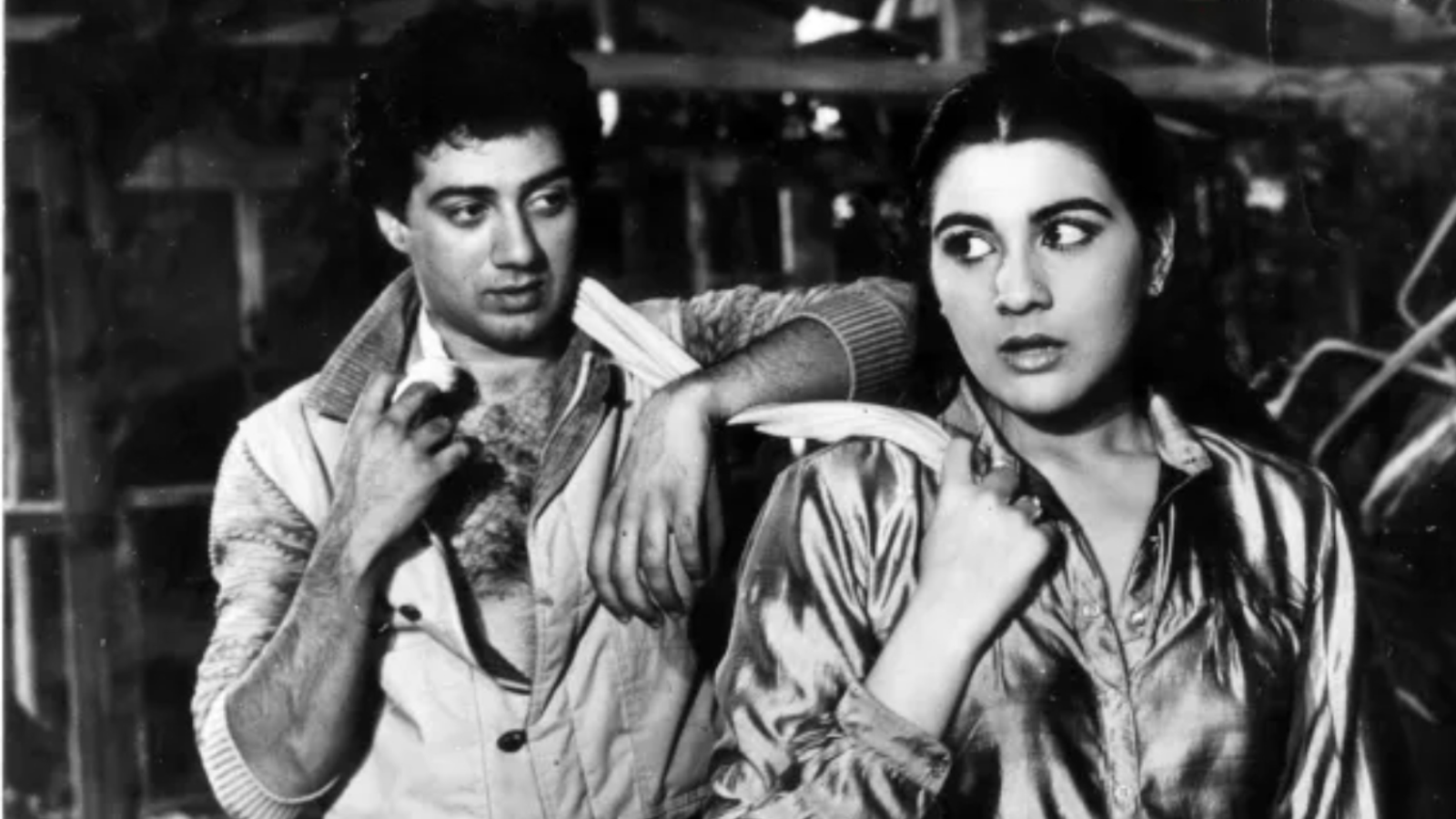 Bollywood, Bollywood Actor, Sunny Deol, Damini, Betaab, Gadar 2, Inspiring Journey