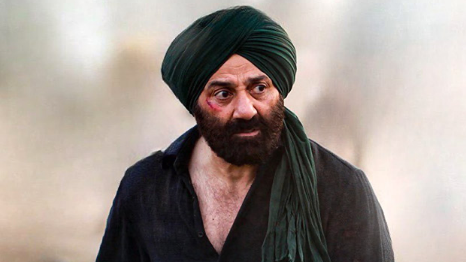 Bollywood, Bollywood Actor, Sunny Deol, Damini, Betaab, Gadar 2, Inspiring Journey