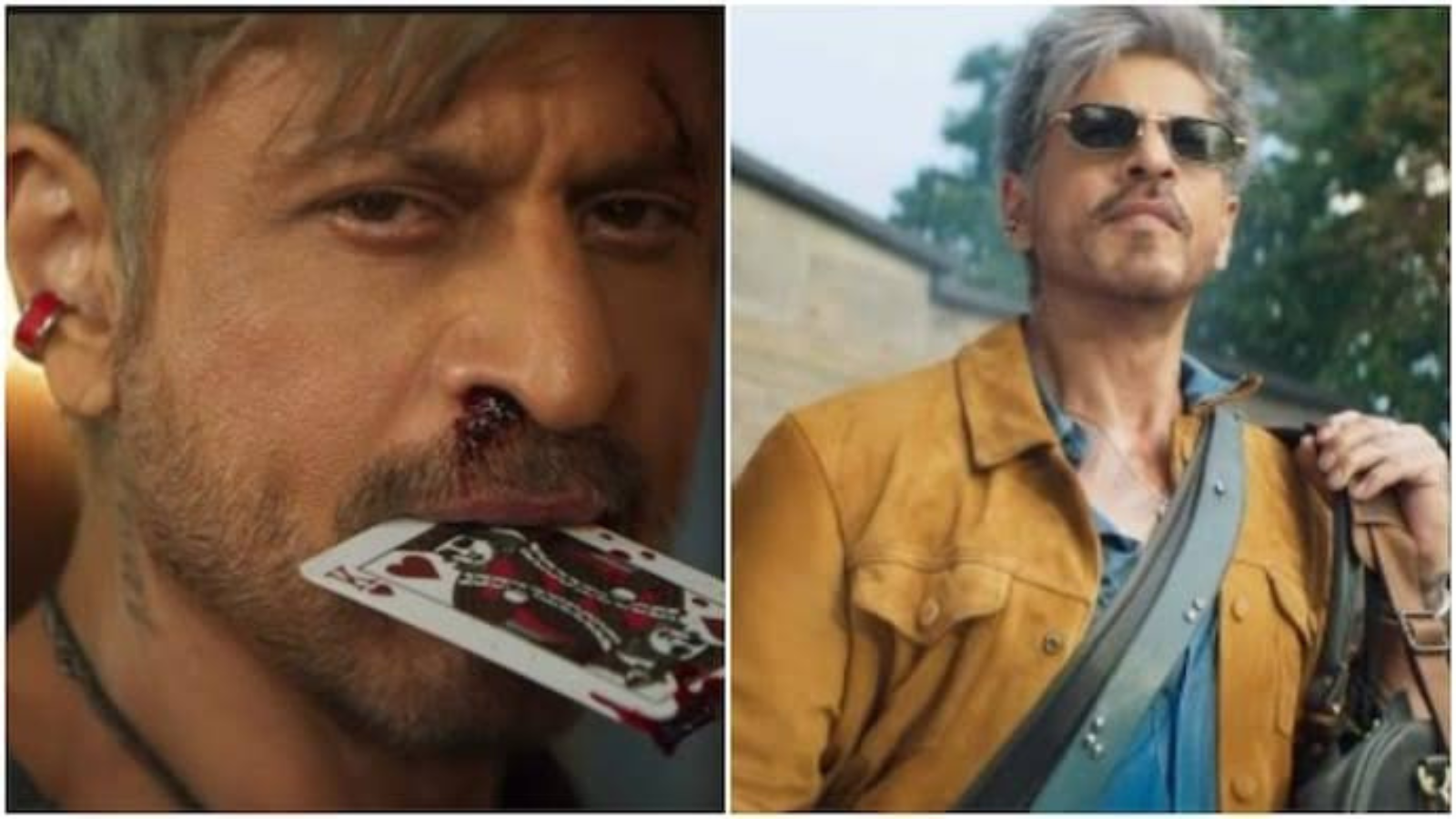 Shah Rukh Khan, King Movie, King Teaser, Siddharth Anand, Bollywood News